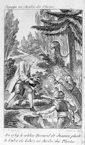 ベルナール・ド・ジュシュー（フランスの植物学者、1699-1777）がパリの植物園でレバノン杉を植える 作： Unknown artist