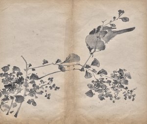 ブロッサムズ 作： Unknown artist