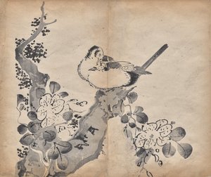 花と鳥