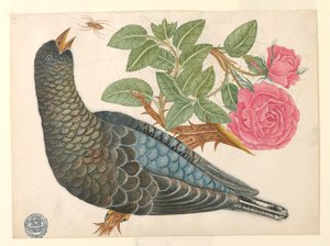 クモとバラの枝に青黒い鳥