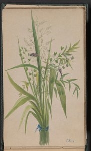 花と草の花束