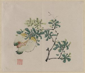 ザクロの枝 作： Unknown artist