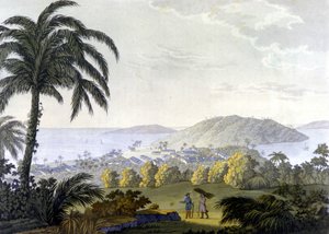 ブラジル、バイア州イルヘウス市の風景 作： Unknown artist