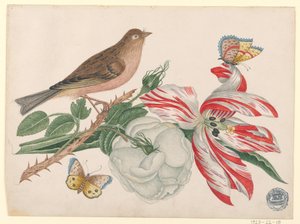 バラ、チューリップ、昆虫と枝に茶色の鳥 作： Unknown artist
