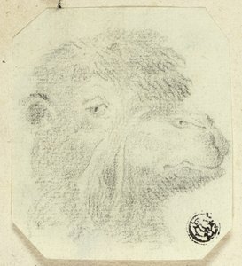 ラクダの頭（右向き 作： Unknown artist