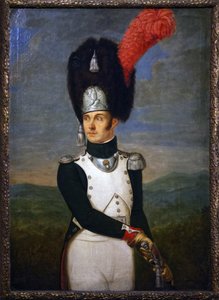1809年頃、イタリア王室親衛隊の擲弾兵隊長 作： Unknown artist