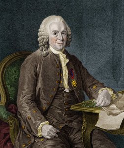 カール・フォン・リンネ スウェーデンの博物学者・作家（1707～1778）。 作： Unknown artist