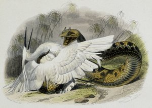 鳥を叩くセラステ（クサリヘビ科のヘビ）。19世紀、フランスの博物学者ラスペード（1756-1709）の絵をもとに制作された彫刻。