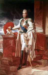 シャルル10世（1757 - 1836）。ナポリ。カポディモンテ国立博物館。 作： Unknown artist
