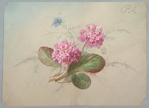 壁紙とテキスタイルのデザイン: 花 作： Unknown artist