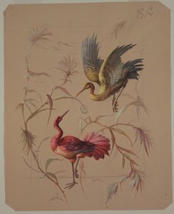 壁紙とテキスタイルのデザイン: 花と鳥 作： Unknown artist