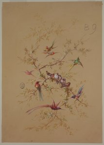 壁紙とテキスタイルのデザイン: 花と鳥