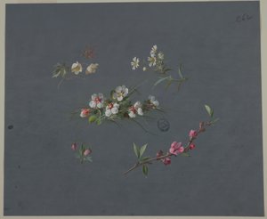 壁紙とテキスタイルのデザイン: 花 作： Unknown artist