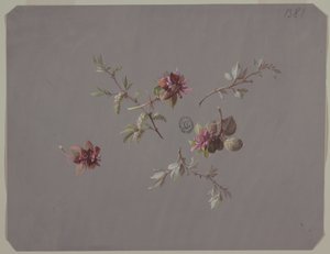 壁紙とテキスタイルのデザイン: 花 作： Unknown artist