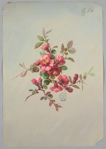 壁紙とテキスタイルのデザイン: 花 作： Unknown artist