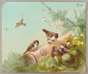 壁紙とテキスタイルのデザイン: 花と鳥 作： Unknown artist
