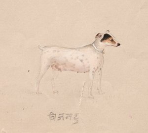 犬 作： Unknown artist