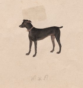 犬 作： Unknown artist