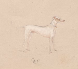 犬 作： Unknown artist