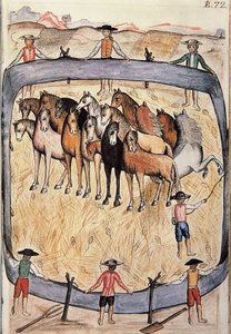 トルヒーヨ司教バルタサル・マルティネス・コンパニオン・イ・ブジャンダ（1782-1785）の著書「トルヒーヨ・デル・ペルー」（「Códice Martínez Compañón」）より、野生馬の馬術。 作： Unknown artist
