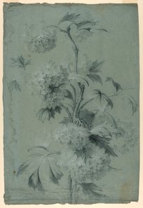 花のデザイン 作： Unknown artist