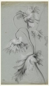 花のデザイン 作： Unknown artist