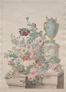 絵のように美しい植物または果物と花のコレクション 作： Unknown artist