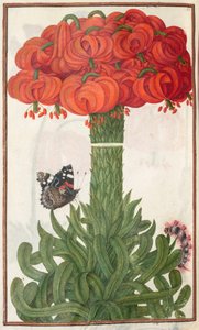 Florilegium: (18 ページの裏面) オレンジ色のユリの花束 作： Unknown artist