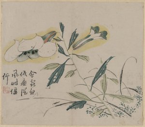 開花ユリ 作： Unknown artist
