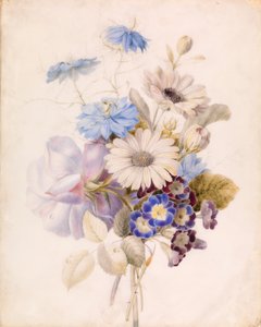 ヒナギクの花 作： Unknown artist