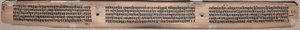 Folio 37 (verso)、Gandavyuha-sutra (Supreme Array の経典) より 作： Unknown artist