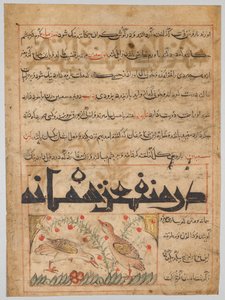 アブ・サイード・ウバイド・アッラー・イブン・ジブレイル・イブン・バクティシュ（1058–68年没）のペルシャ語マナフィー・アル・ハヤワン（動物の利益）のフォリオ（裏面） 作： Unknown artist