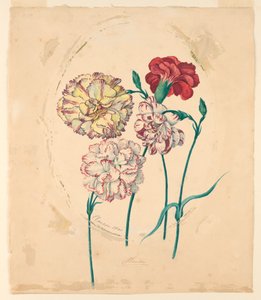 4 つのカーネーション 作： Unknown artist