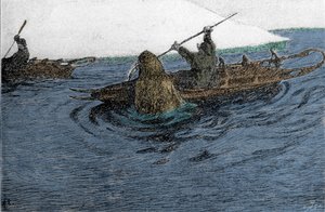 Fridtjof Nansen（1861-1930）ノルウェーの探検家、1896年の北極点遠征中にセイウチに襲われる。カヤックにシュリットを乗せている。19世紀のエングレーヴィング。