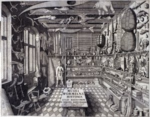 Ole WormまたはOlaus Wormiusの好奇心の強いキャビネットの内部を示す「Musei Wormiani Historia」の正面図 作： Unknown artist