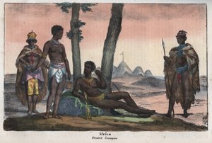 ケープのゴンキ・ホッテントット - 「宇宙のすべての人々の用途と習慣」からの抜粋。Or History of the Government, Laws, Militia, Religion of All Nations from the Remotest Times to the Present Day" 1856年 作： Unknown artist