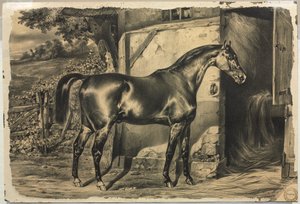 納屋の前の馬 (裏面)
