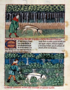 犬の飼い方 ミニチュア フォワ伯爵、ベアン公ガストン3世フィーバス（1331-1391）の「狩猟の書」から引用。