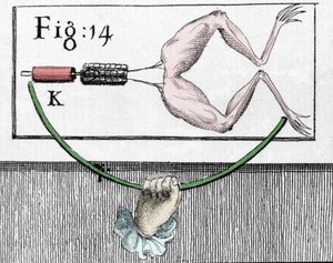 イタリアの物理学者・医師であるルイジ・ガルヴァーニ（1737〜1798）が、カエルの足に電流が流れることを説明した実験の図。 作： Unknown artist