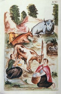 トルヒーヨ司教バルタサル・マルティネス・コンパニオン・イ・ブジャンダ（1782-1785）の著書「トルヒーヨ・デル・ペルー」（Códice Martínez Compañón）より。