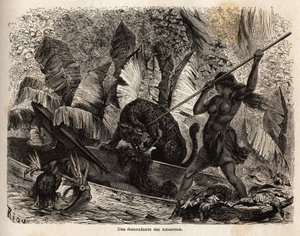 インディアンのティクナ（ペルー）は、自分のカヌーに飛び込んできた虎を槍で攻撃し、仲間に怪我をさせた。ニャモンドス川のティクナは、戦士の妻として評判が高いため、最初に観察した旅行者や学者は彼らをアマゾンと呼んだ。 作： Unknown artist