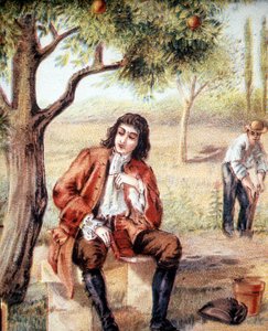 アイザック・ニュートン（1642-1727）は、リンゴの木の落下を観察することで重力理論を発見した。 作： Unknown artist