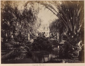 ケディブの庭園 作： Unknown artist