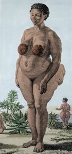 La Venus Hottentote, women of broad Bochiman; (The Hottentot Venus,) 1815年のエングレーヴィング。 作： Unknown artist