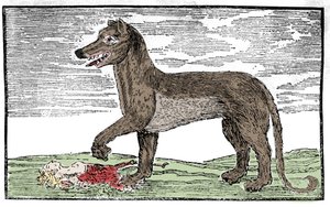 La bete du Gevaudan "Saint James
