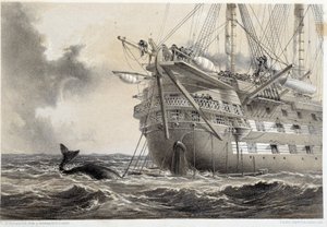 大西洋の電信ケーブル敷設、船の周りにクジラがいた 作： Unknown artist