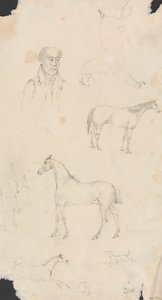 Homem, Cavalos e Cães 作： Unknown artist