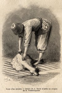 シューシャ（ロシア、トランスコーカサス）でタタール人の若者が羊を刈る様子。1864-1865年にバジル・ヴェレスチャギーヌが行ったコーカサス地方の航海を説明するためのエングレーヴィング。 作： Unknown artist