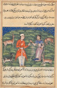 女性の姿をした王子の財産であるニクファルは、トゥティナマ（オウムの物語）から、彼に同行することを申し出ます：18番目の夜 作： Unknown artist