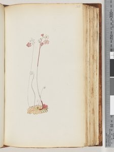 106ページ。碑文なし、未完成の図面 作： Unknown artist
